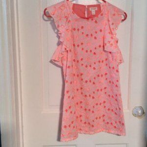 Cat & Jack Pink Ruffled Eyelet Dress